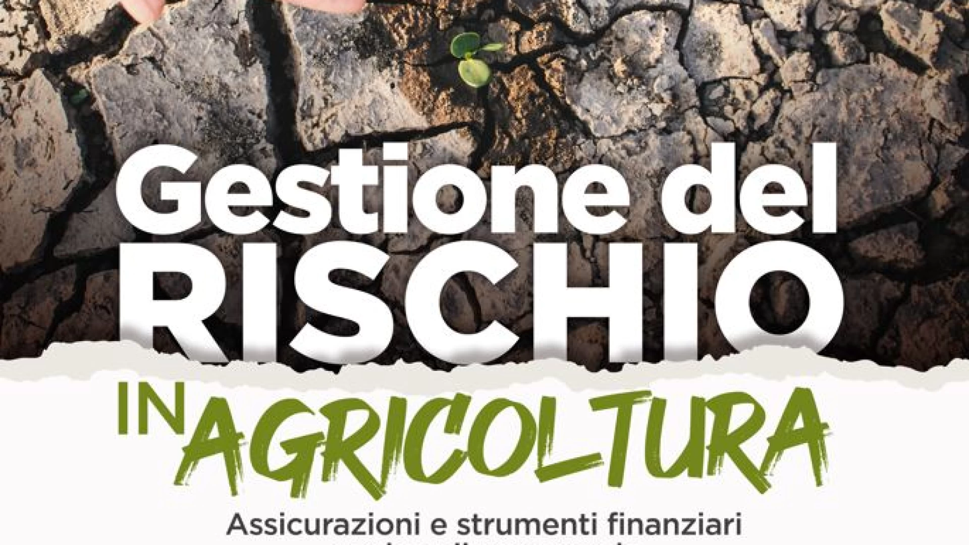 Gestione del rischio in agricoltura, il 15 marzo convegno all’Ex Gil. Cavaliere: “Necessario fronteggiare i danni economici causati da eventi climatici”.
